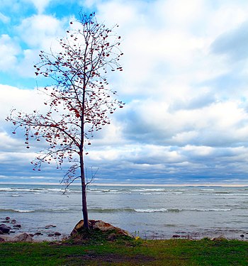 Georgian Bay from Thornbury, Ontario