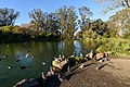 * Nomination Stow Lake, Golden Gate Park. --King of Hearts 02:31, 11 October 2017 (UTC) * Promotion Good quality. -- Johann Jaritz 16:01, 11 October 2017 (UTC)