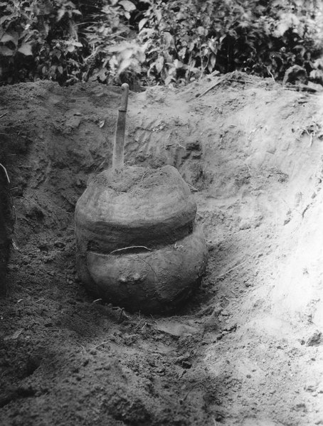 File:Gravurna under utgrävning. Lokal, Guarayos, Bolivia. Guarayos, Departamento de Santa Cruz - SMVK - 005648.tif