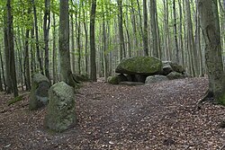 Gran tumba de piedra Sassnitz forest hall 1 - isla de Rügen.jpg