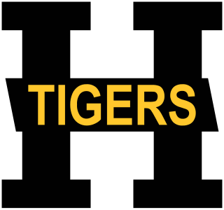 Hamilton Tigers Former ice hockey team in the NHL