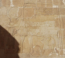 Relief einer Kuh mit einer Scheibe zwischen ihren Hörnern.  Ein Mensch mit Krone trinkt aus ihren Eutern.