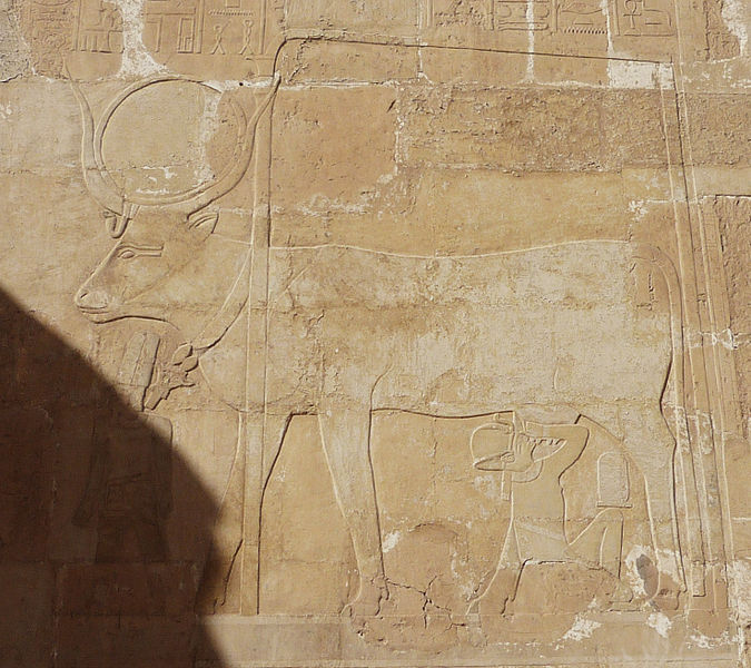 File:Hatshepsut temple5.JPG