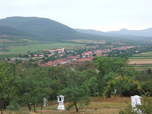 Weinregion Tokaj: Hercegkút/Trautsondorf; im Hintergrund das Tokajer Gebirge UUNESCO-Welterbe Ungarn)