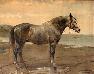 <span class="mw-page-title-main">Russian Heavy Draft</span> Russian breed of draught horse