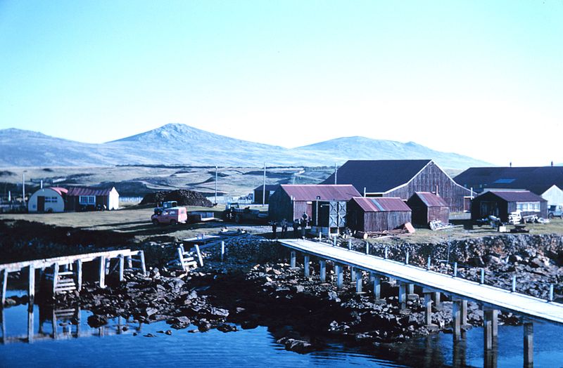 File:Hill Cove, West Falkland.jpg