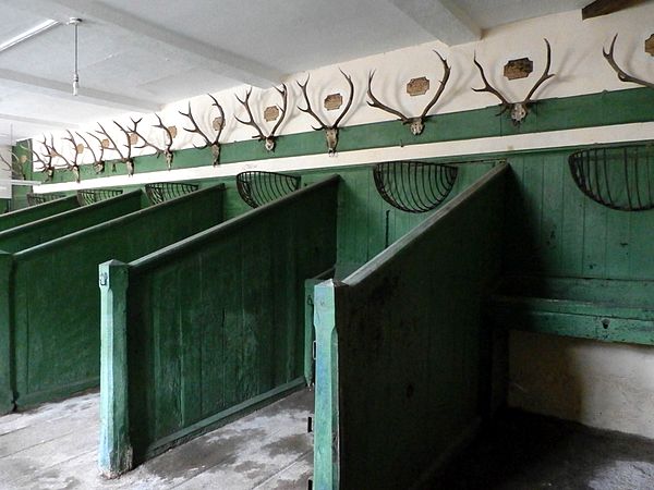 Stalls in stable block built by Acland at Holnicote. The thirty stag heads on the walls date from about 1787 to 1793 and were killed under his masters