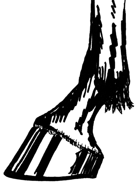 File:Hoof (PSF).png