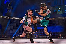 Ireland vs. Mexico at IMMAF World Championships held in the Kingdom of Bahrain IMMAF World Championships held in the Kingdom of Bahrain.jpg