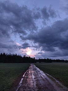 Image of Trail in Fish Lake National Forest.jpg