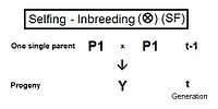 Quantitative Genetics