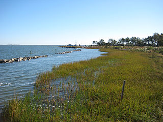 Indian River Bay bay in Sussex County, United States of America