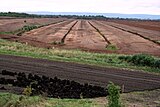 Peat bog in Tír na Móna.