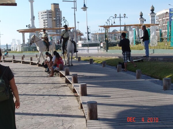 Iquique Mounted Police at Cavanche