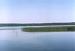 Thumbnail for Wet Lake (Warmia-Masuria Voivodeship)