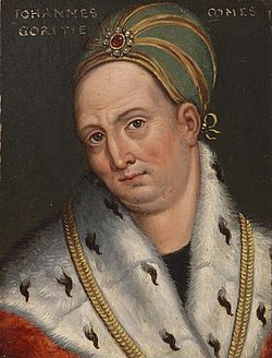 Johann Heinrich of Gorizia.jpg