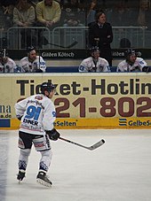 Straubing Tigers: Geschichte, Mannschaft, Spieler