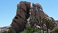 Joshua Tree National Park - split rock near Intersection Rock