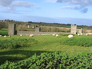 <span class="mw-page-title-main">Kells Priory</span>