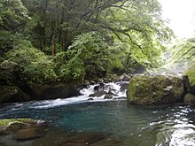 Kikuchi-River-valley.JPG