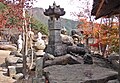 Path on the way to Samseonggung's main grounds. Samseonggung is a Shrine dedicated to the traditional worship of the three mythical creators of Korea: Whanin, Whanung, and Dangun..