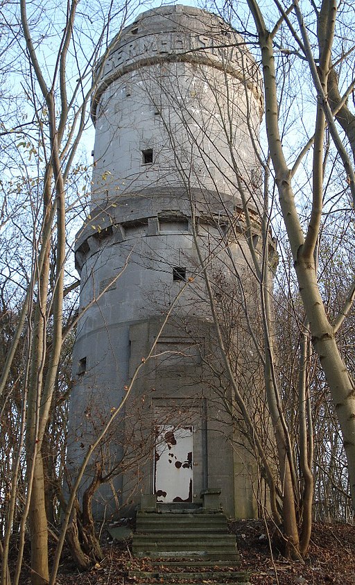 Kreis-Ploen - Bismarcksaeule Waldshagen 2