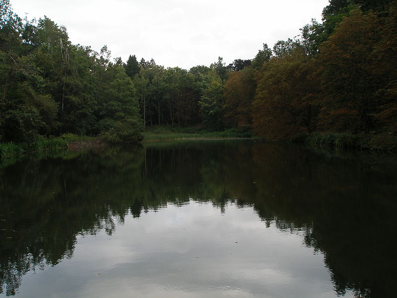 File:Lázně Libverda, Lázeňský rybník (6).JPG
