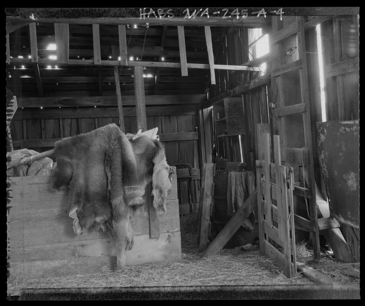 File:LEAN-TO INTERIOR, LOOKING EAST. Image shows- ladder attached to south faand-231;ade, gate separating hay storage from animal pens, and east wall construction.; - Boyer Farm, Barn, 711 HABS WA-245-A-4.tif