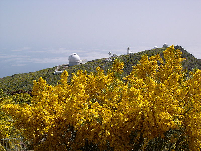 File:La Palma-observatory.jpg