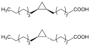 cis-trans-Isomerie von Lacto­bacill­säure; oben das cis-Isomer, unten das trans-Isomer