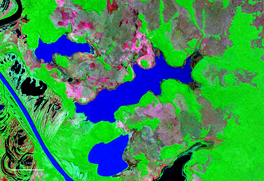 La Laguna Sarca Bolivia Satelit peta 65.00370 W 12.png