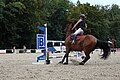 * Nomination The horse refuses to jump the obstacle at the Dachsbuhl stables in Colmar (Haut-Rhin, France). --Gzen92 06:19, 23 August 2023 (UTC) * Promotion Good quality. --Peulle 06:32, 23 August 2023 (UTC)