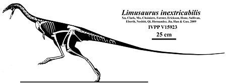 Limusaurus