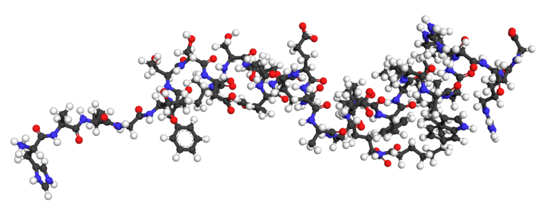 File:Liraglutide ball-and-stick 4APD.png