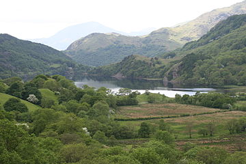 Llyn Gwynant