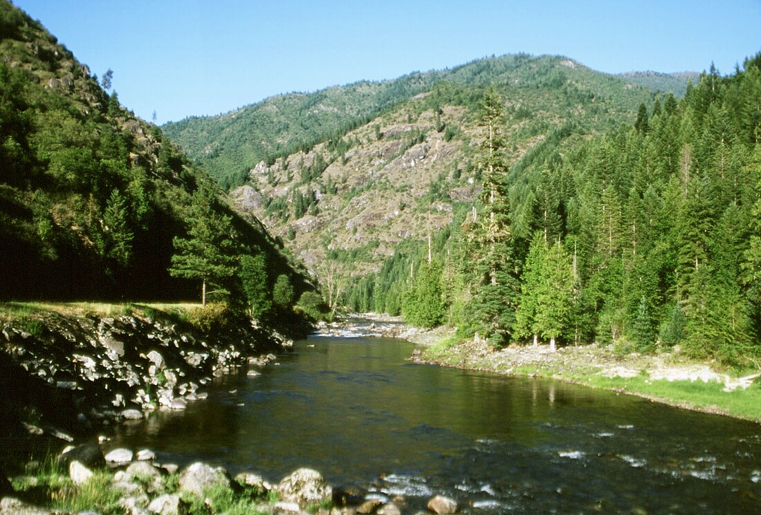 Clearwater National Forest