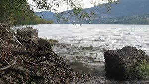 Fil: Kigger nordpå langs den vestlige kystlinje af Wood Lake BC om sommeren. Webm