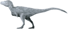 Life restoration of Lythronax, a close relative of Dynamoterror. Lythronax by Tomopteryx.png