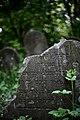 Szydłowiec, Cmentarz żydowski w Szydłowcu