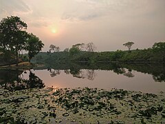 See im Madhupur-Nationalpark