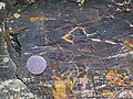 Magnetite-rich banded iron-formation (BIF) (Michipicoten Iron-Formation, Neoarchean, 2696-2749 Ma; Route 17 roadcut east of Bridget Lake, south of Wawa, Ontario, Canada) 1 (48268670946).jpg