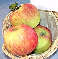 Malus-Goldrenette-von-Peasgood.jpg