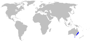 Map-Blandfordiaceae.PNG