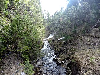 Marchbach at an altitude of approx. 1150 m.