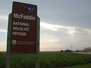 <span class="mw-page-title-main">McFaddin and Texas Point National Wildlife Refuges</span> National Wildlife Refuge in Jefferson County, Texas