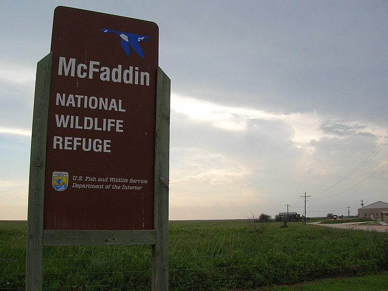 File:McFaddin National Wildlife Refuge.jpg