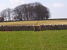 Trockensteinmauer in den Mendip Hills