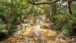 Menik River, Katharagama, Sri Lanka.jpg