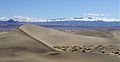 Death Valley Ulusal Parkı’ndaki Mesquite Düz Kumulları.