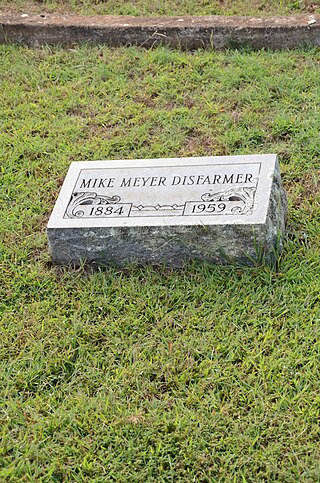 <span class="mw-page-title-main">Mike Meyer Disfarmer Gravesite</span> Grave in Heber Springs Cemetery, Arkansas